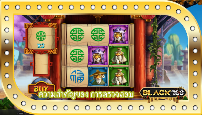 ความสำคัญของ การตรวจสอบ